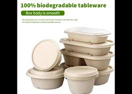 Biodegradable Container